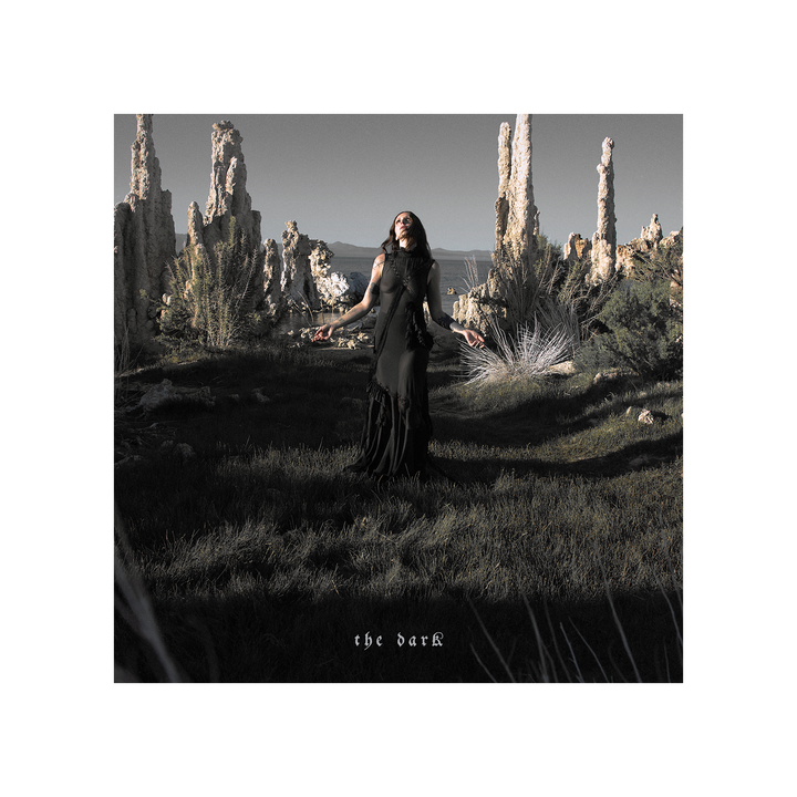 The Dark  Black LP + Signed Print